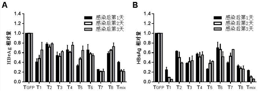 Method for specifically knocking out hepatitis B virus by CRISPR/Cas9 and gRNA applied to specific targeting HBV DNA