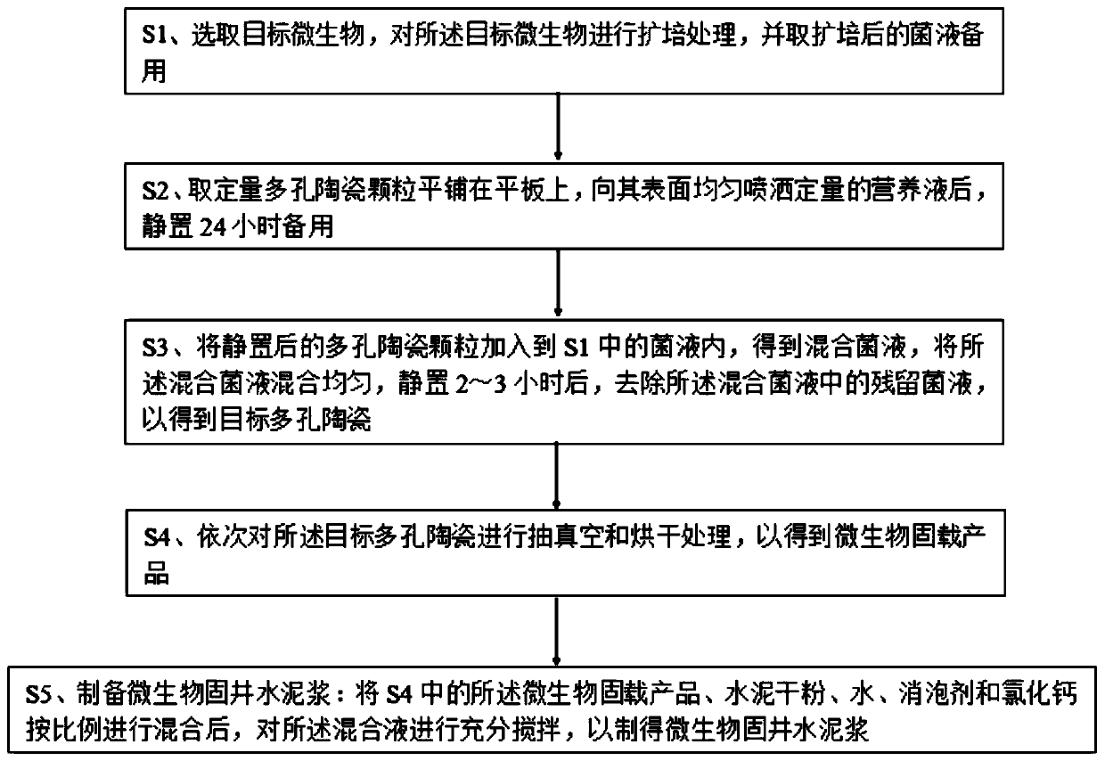 Immobilization method for improving activity of microorganisms in well cementation cement paste