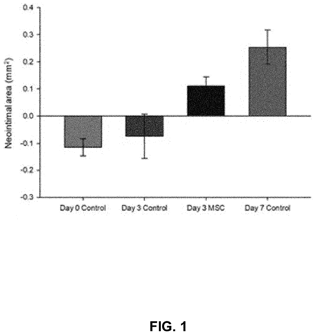 Neointima formation using mesenchymal stem cells or derivatives thereof