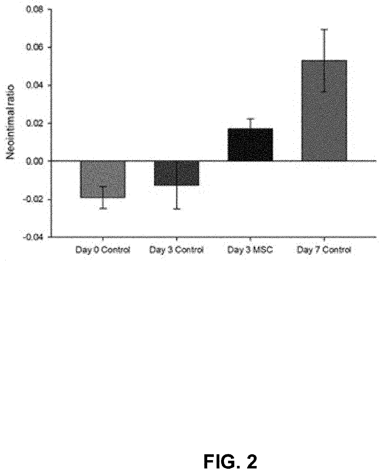 Neointima formation using mesenchymal stem cells or derivatives thereof