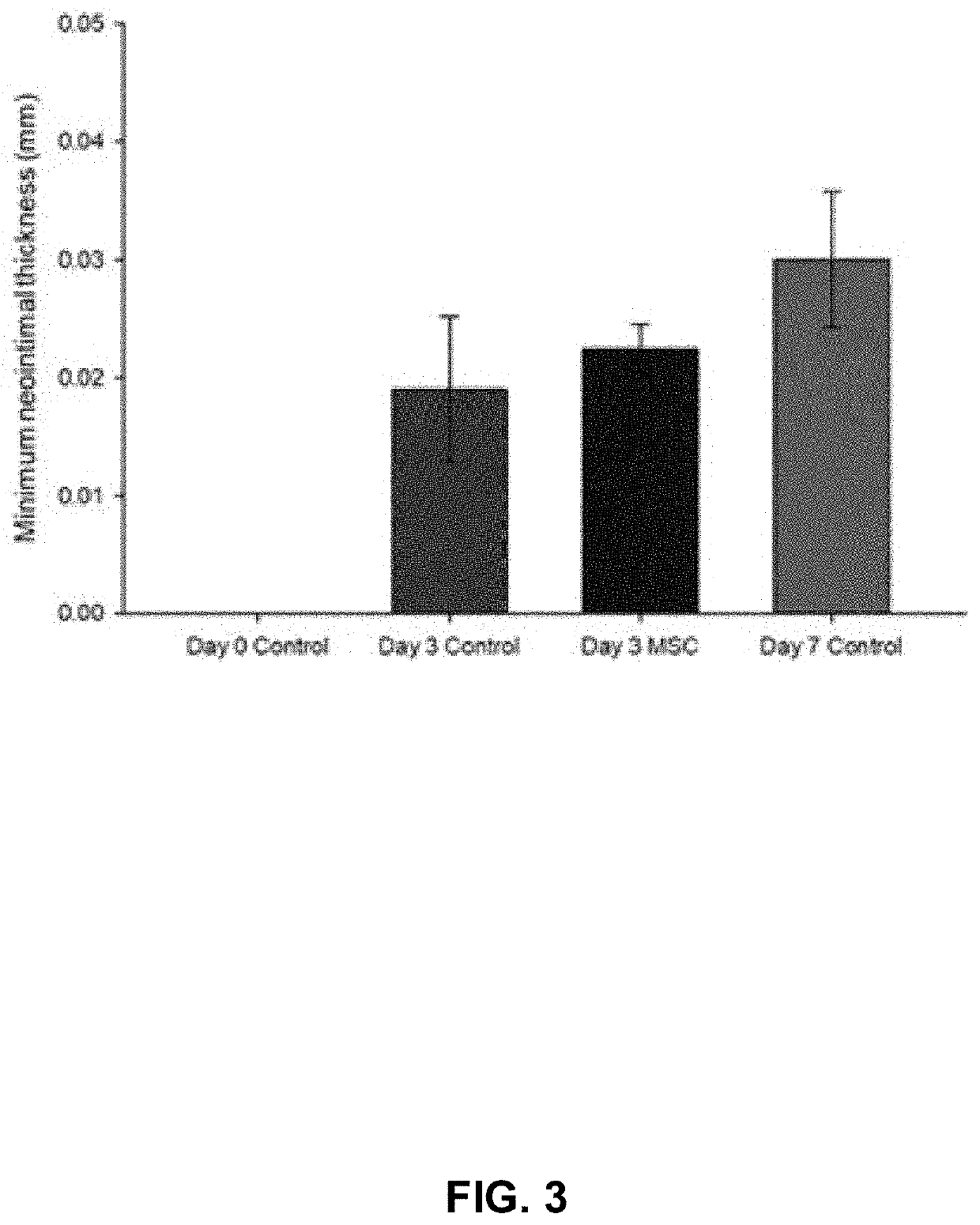 Neointima formation using mesenchymal stem cells or derivatives thereof