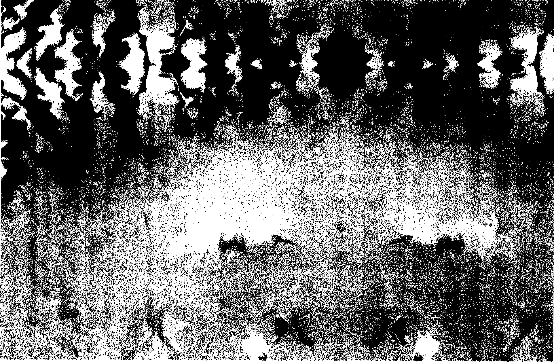 Method for patterned polychrome printing through four separated colors