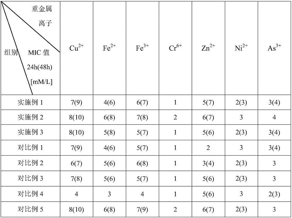 Compound bacteria culture composition capable of tolerating toxicity of heavy metal ion and its preparation method and application