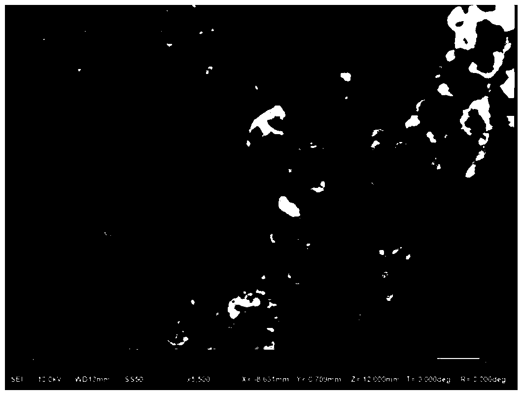 Visible light degradation device for nanomaterials and its preparation method and degradation method