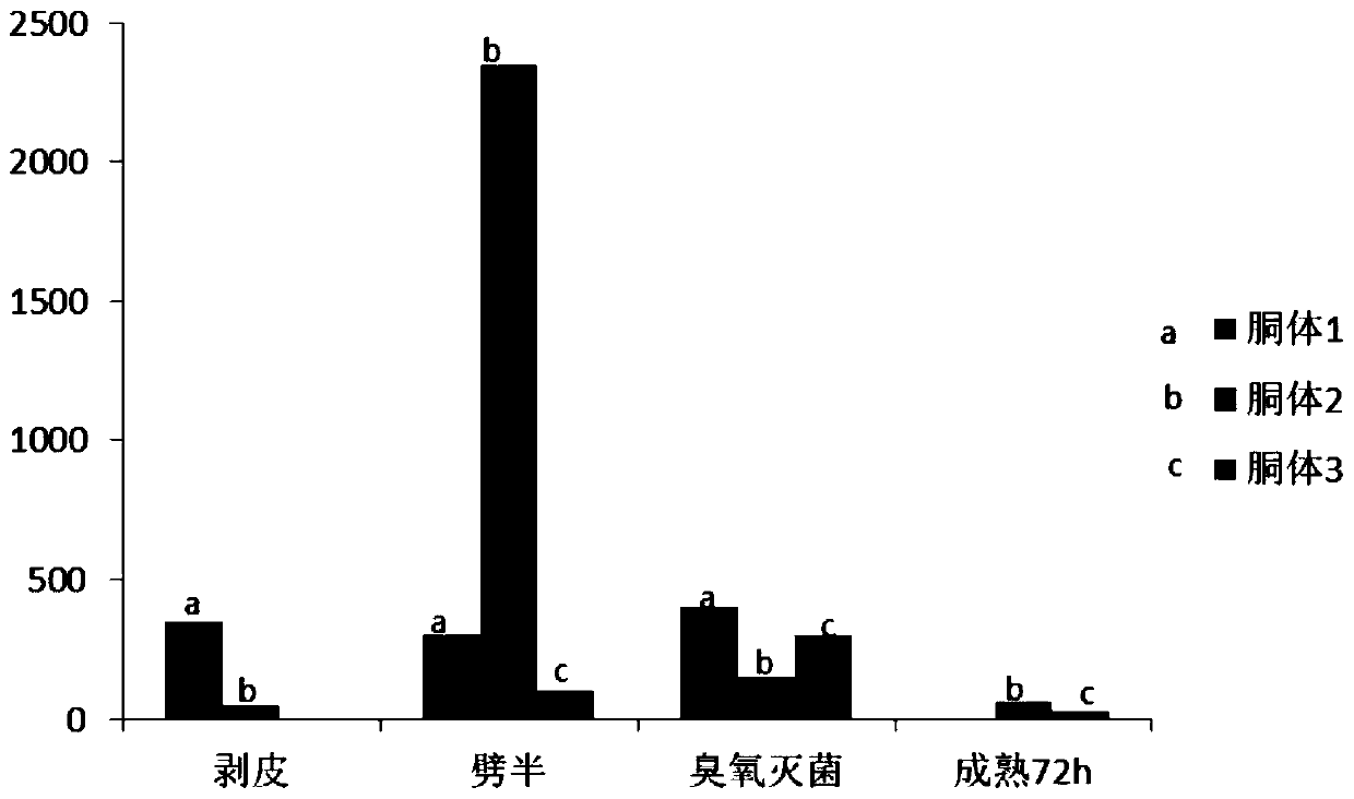 Safe and quality-improving yak slaughtering processing method