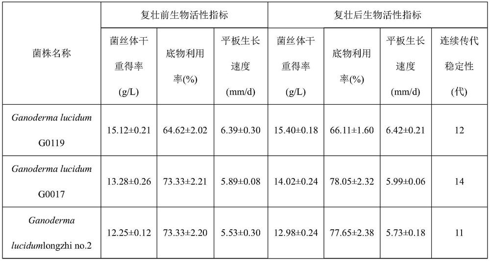 Rejuvenation method of special ganoderma lucidum strain for liquid fermentation