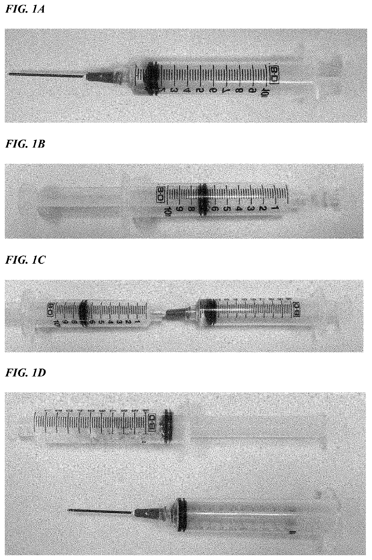 Platelet-Derived Growth Factor Formulations for Enhancing Spine Fusion