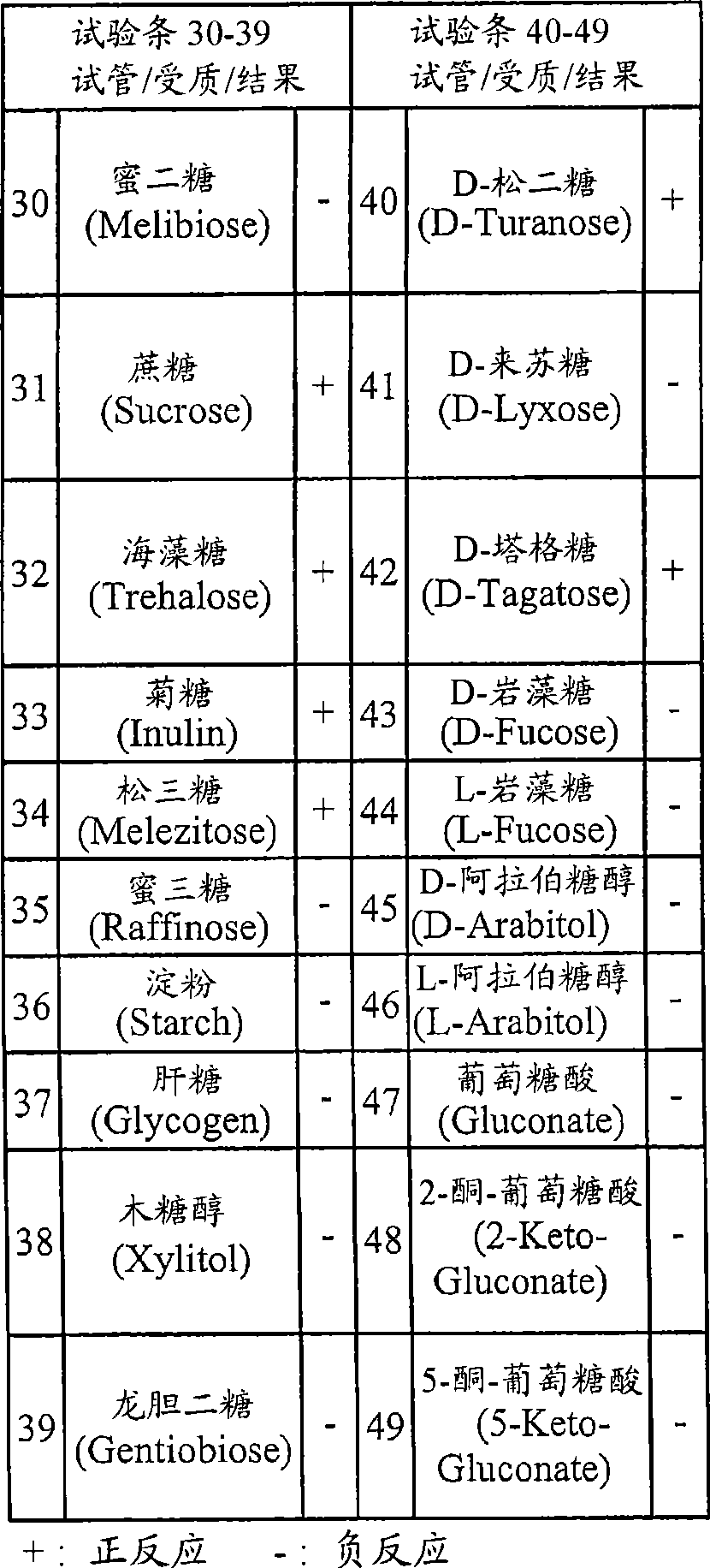 Microbial strain for antianaphylaxis symptom, composition thereof and method for producing interferon-gamma by using the microbial strain irritation cell