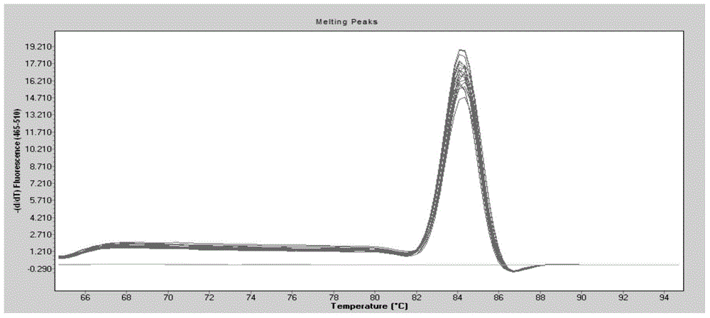 Detection method for infectious bovine viral diarrhea virus in aerosol