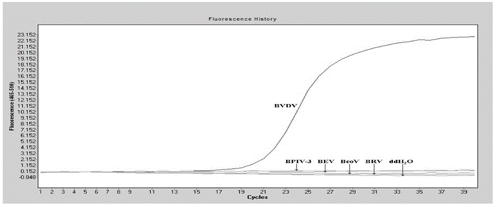 Detection method for infectious bovine viral diarrhea virus in aerosol