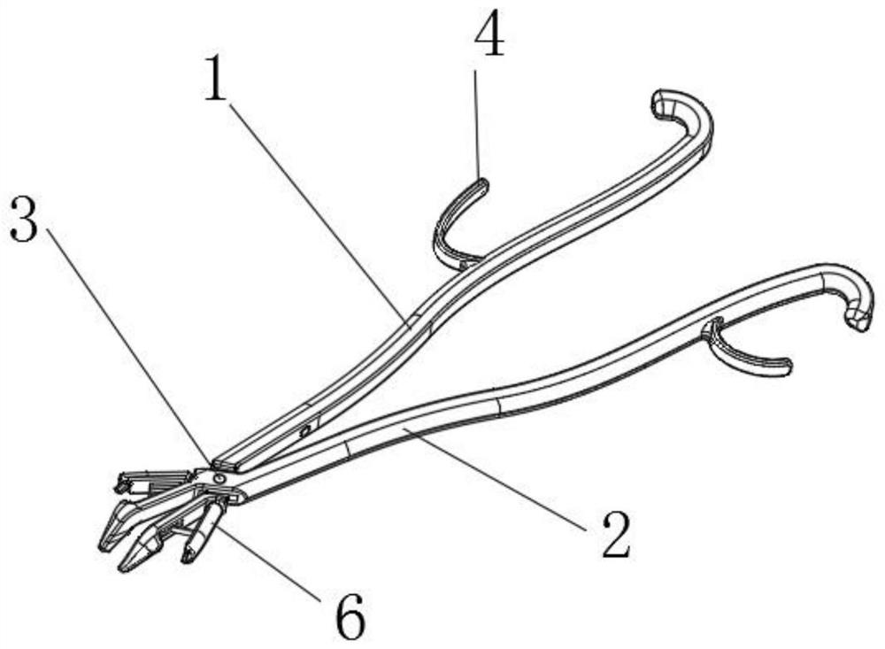 Illuminable cheek-through dental forceps for dental department