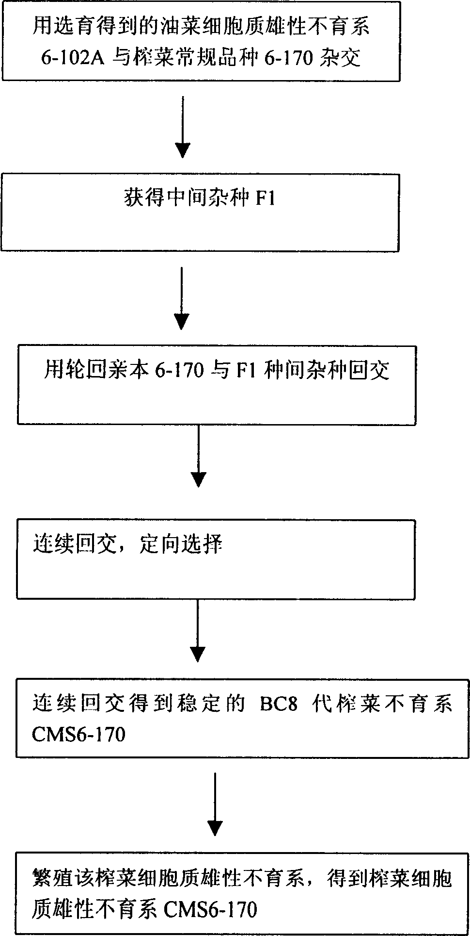 Selective breeding method preserved sichuan pickle cytoplasm male sterile line