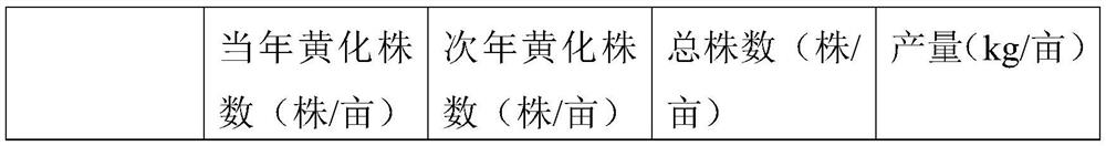 Perennial root sugarcane management method for sugarcane yellowing susceptible area