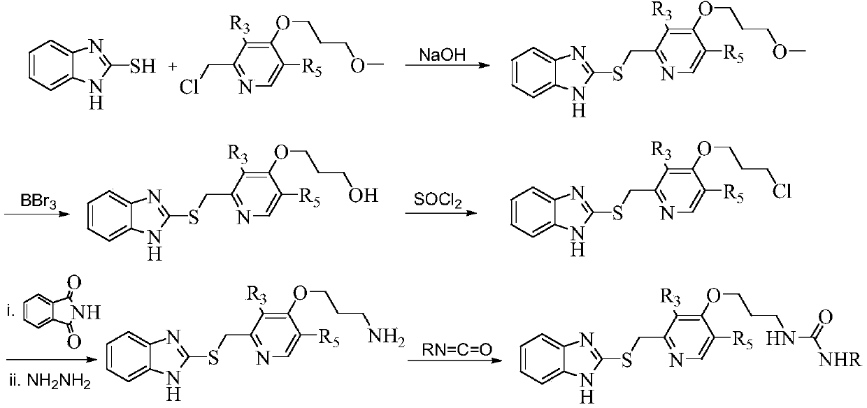 Ureido-containing benzoimidazole compounds and application thereof