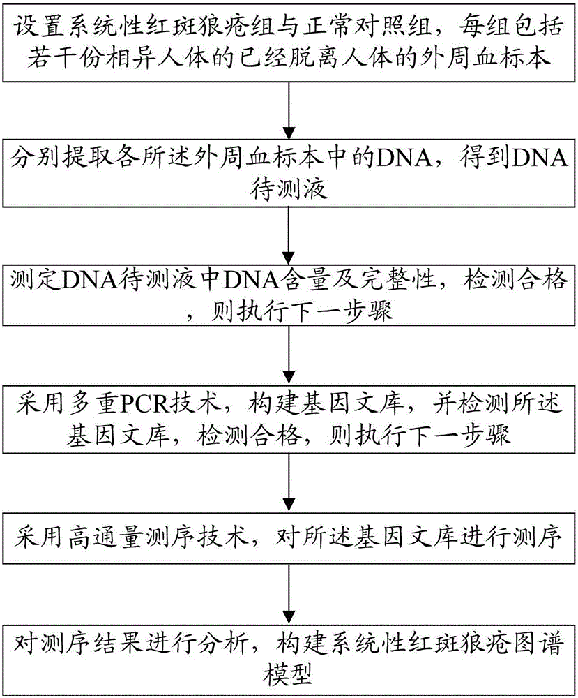 Construction method of systemic lupus erythematosus map model