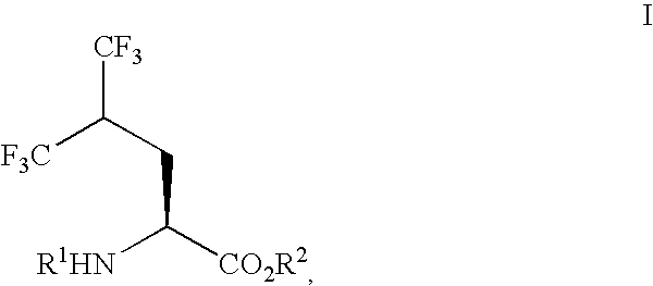 Process for preparing single enantiomers of 5,5,5,5',5',5'-hexafluoroleucine and protected analogs