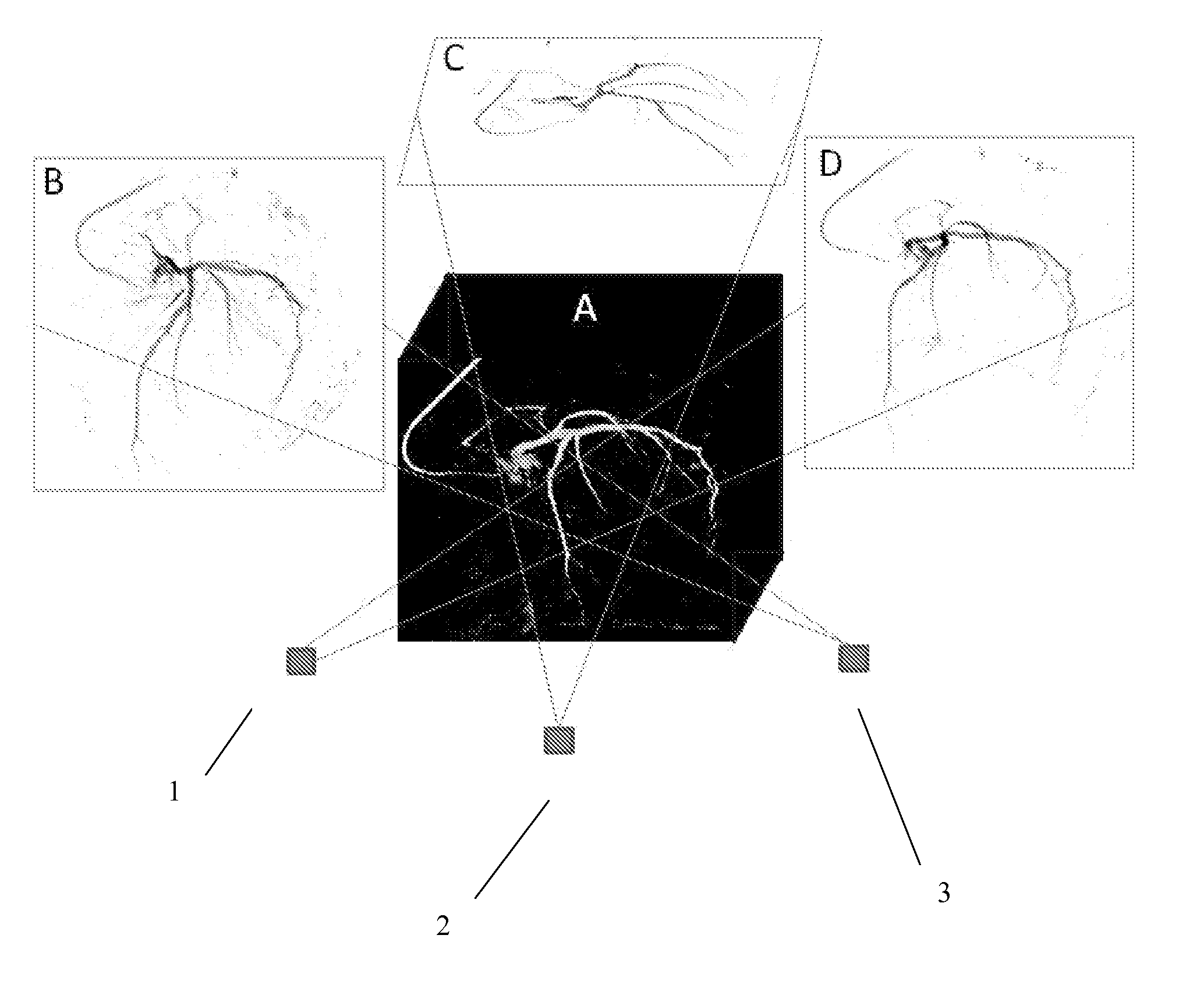 System and method for generating and displaying a 2d projection from a 3D or 4d dataset