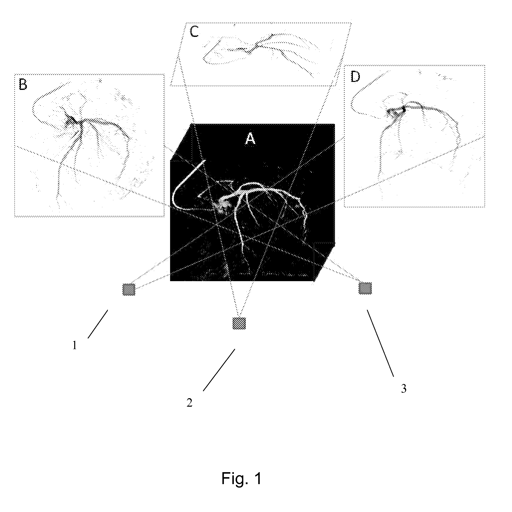 System and method for generating and displaying a 2d projection from a 3D or 4d dataset