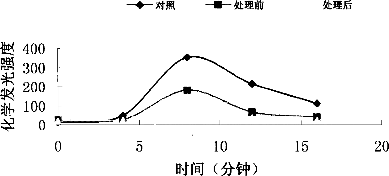 Process for preparing nano active compound by extracting maize germ and product made therefrom