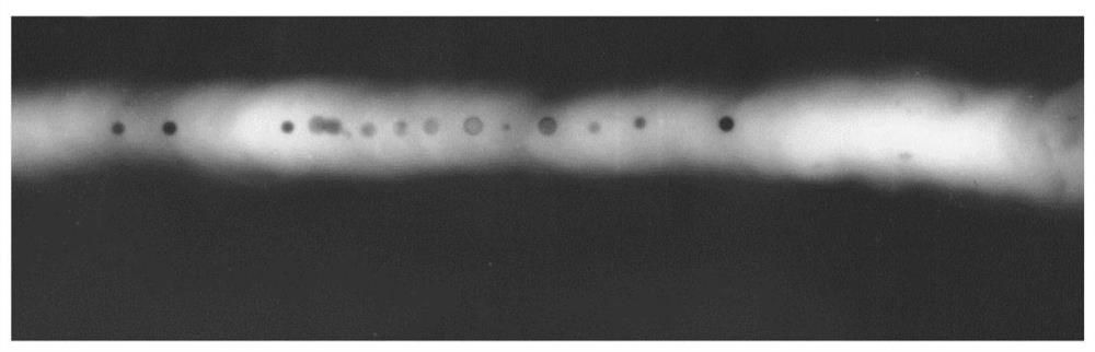 Weld Seam Extraction Method of Radiographic Image Based on Beetle Algorithm and Mathematical Morphology