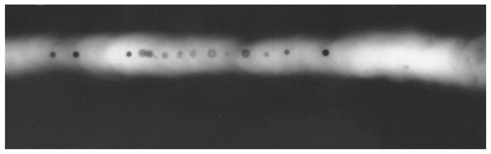 Weld Seam Extraction Method of Radiographic Image Based on Beetle Algorithm and Mathematical Morphology