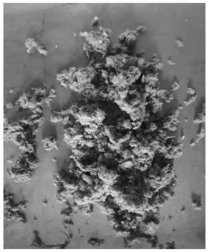 Compound enzyme preparation capable of degrading kitchen waste and preparation method and application of compound enzyme preparation