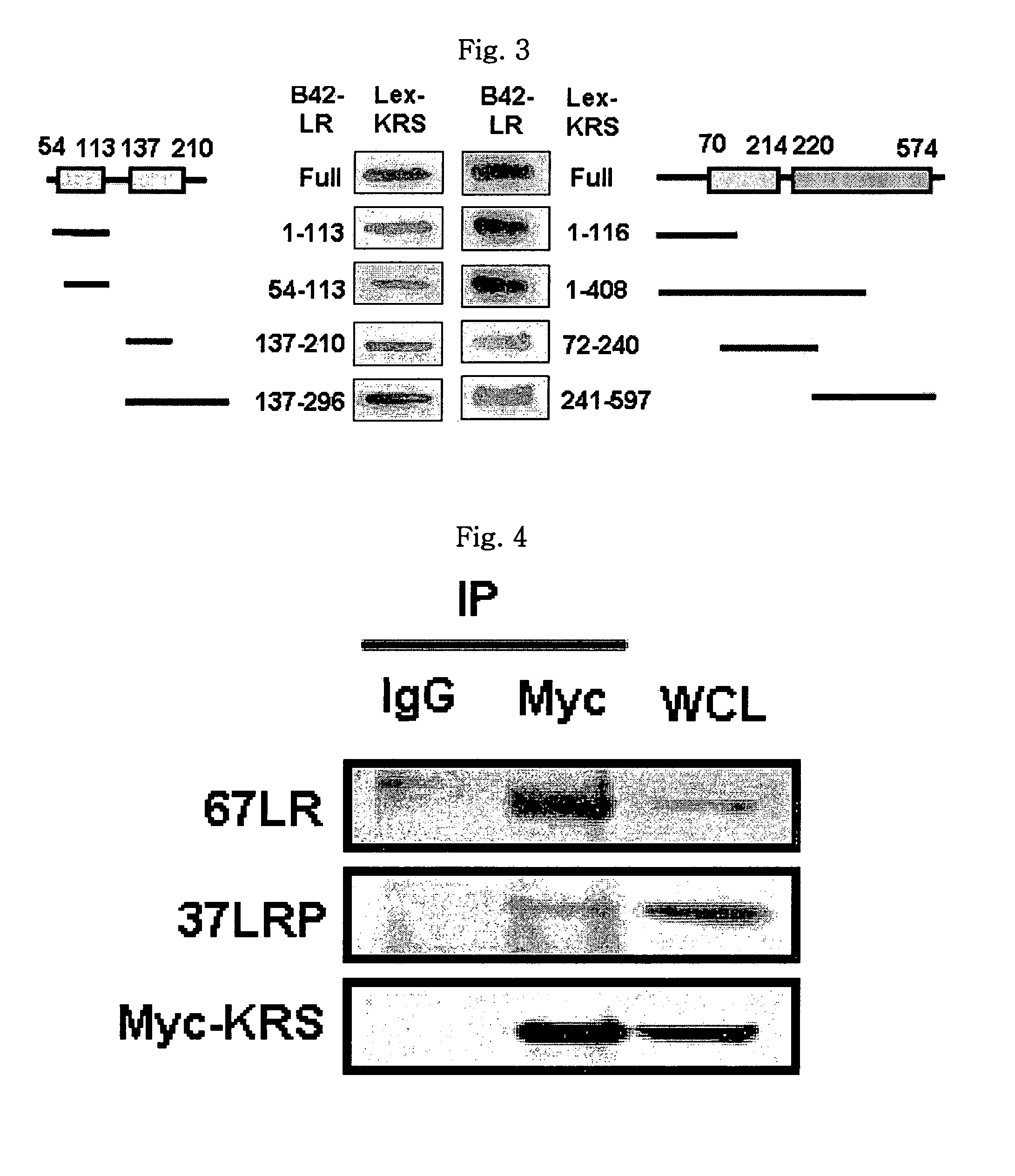 Method for controlling cancer metastasis or cancer cell migration by modulating the cellular level of lysyl tRNA synthetase