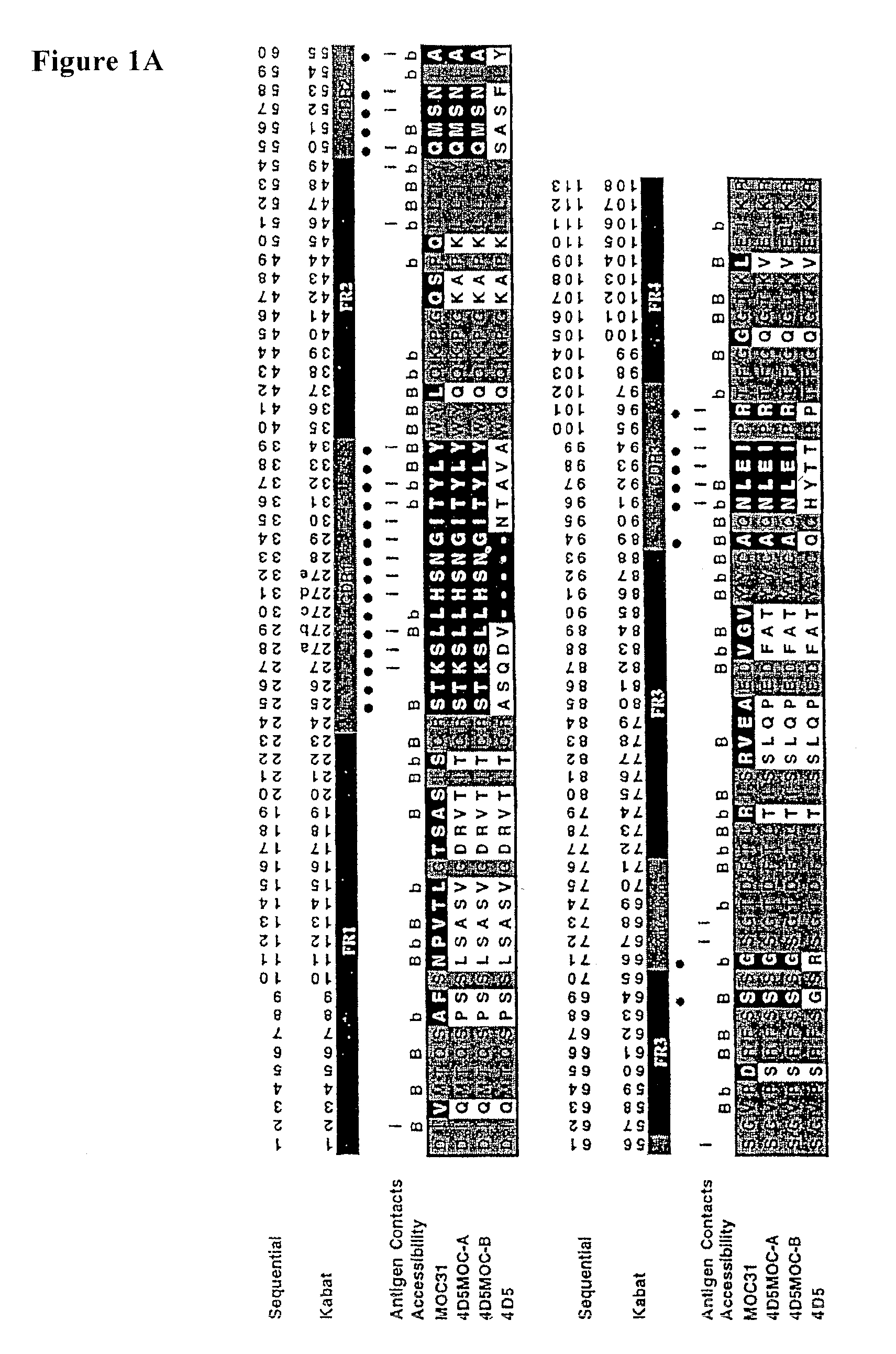 Method for the stabilization of chimeric immunoglobulins or immunoglobulin fragments, and stabilized anti-EGP-2 scFv fragment