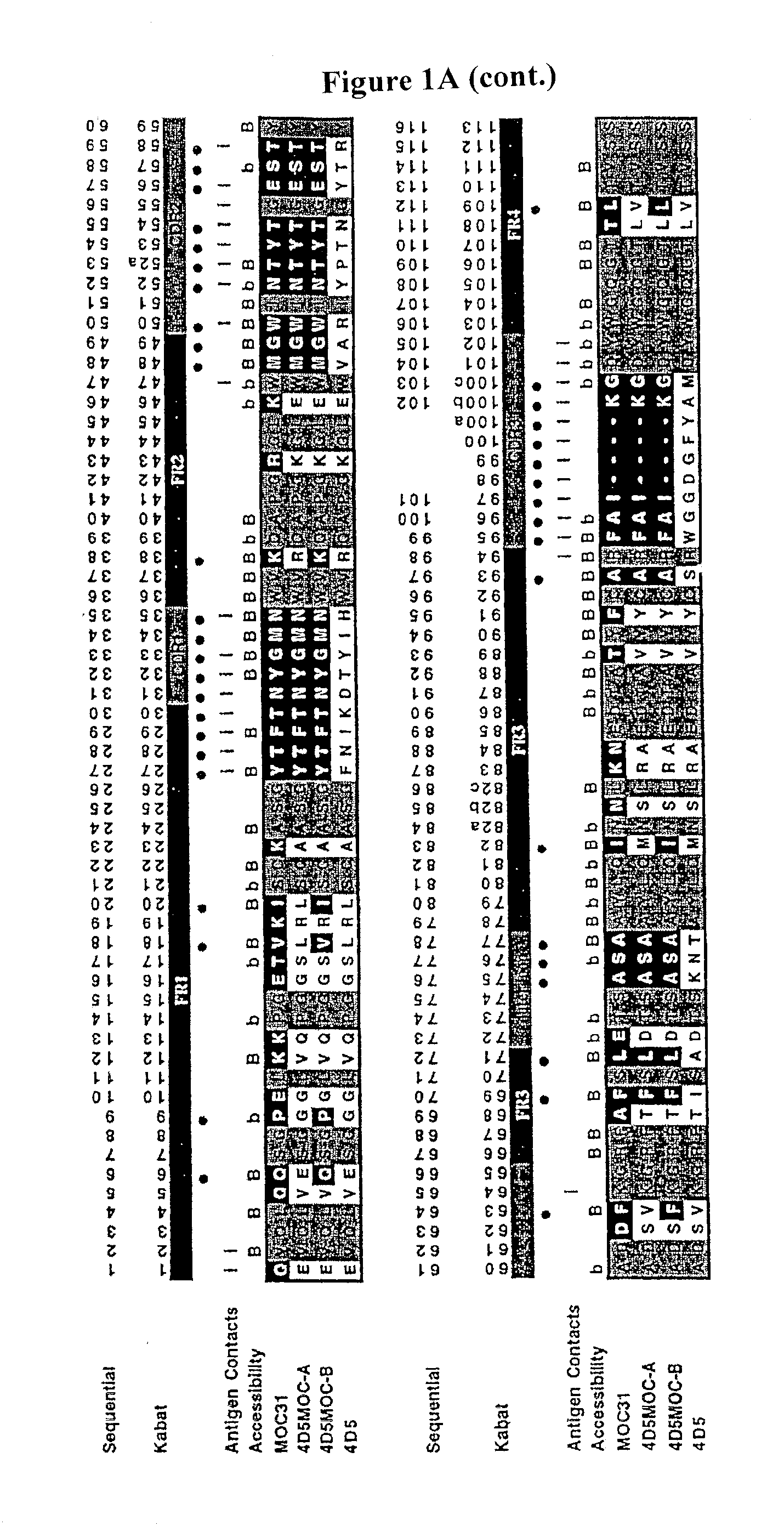 Method for the stabilization of chimeric immunoglobulins or immunoglobulin fragments, and stabilized anti-EGP-2 scFv fragment