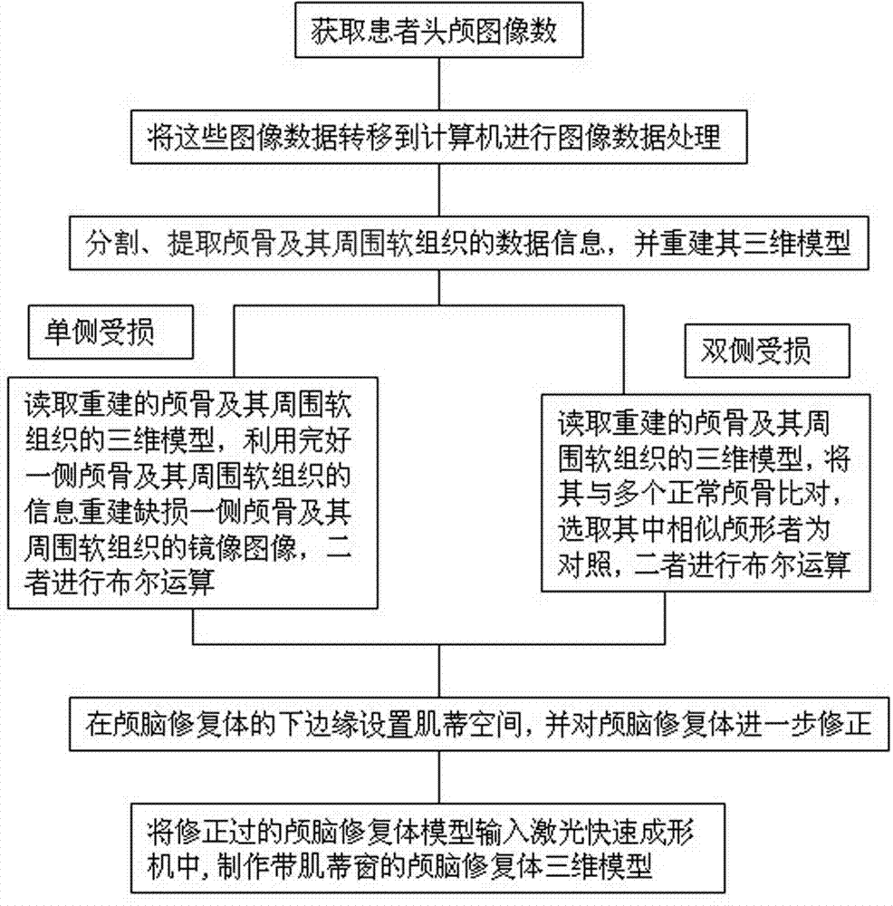 Craniocerebral three-dimensional forming restoration with muscle base window and preparation method thereof