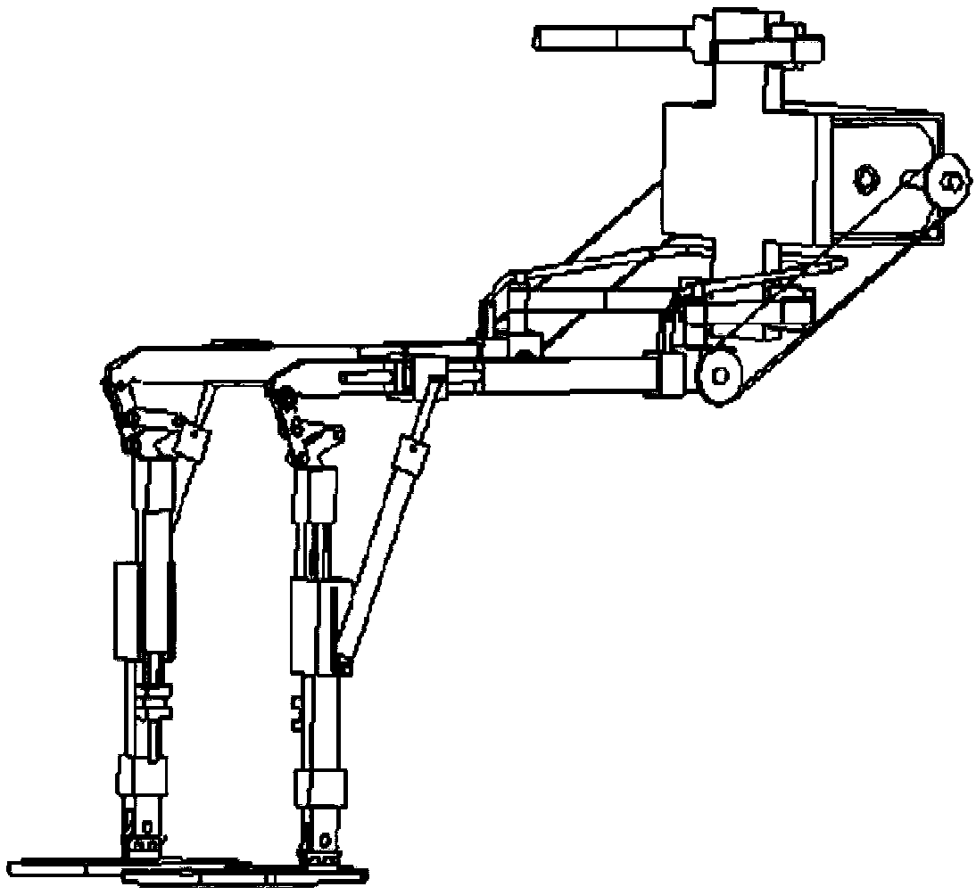 Knee joint structure for lower extremity exoskeleton robot