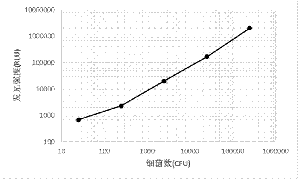 Reagent capable of rapidly and quantitatively detecting sensitivity of antibacterial agent and application method of reagent