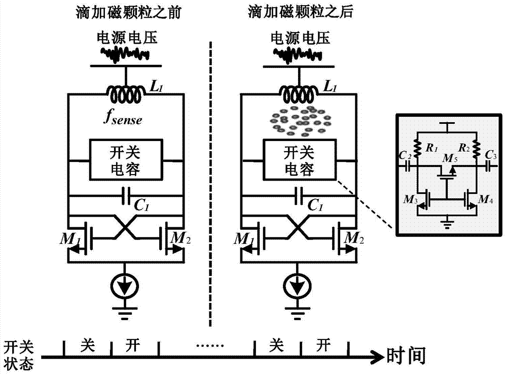 LC Oscillator Magnetic Sensitive Biosensor Based on Switched Capacitor In Situ Self-Calibration Technology