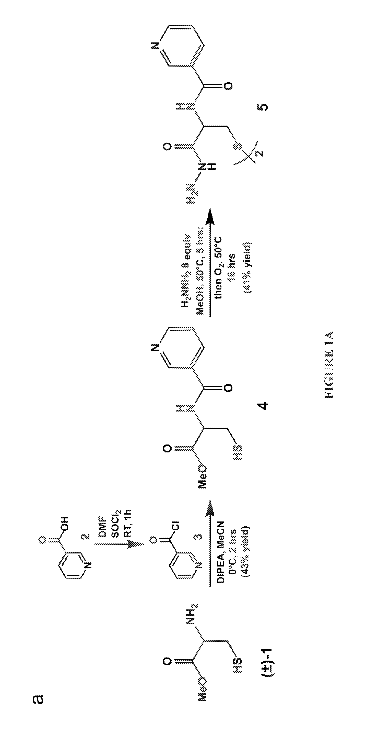 Cysteine hydrazide nicotinamide for glycomics and glycoproteomics uses