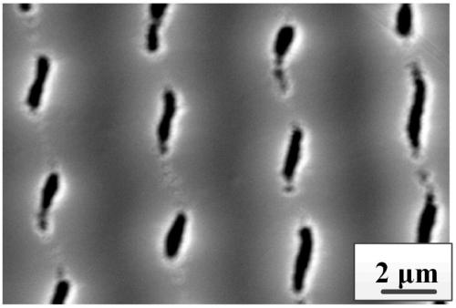 Rare earth ion-doped PTR (Photo-Thermo-Refractive) laser glass ceramic and preparation method thereof