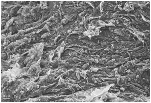 Nitrogen-doped carbon-coated Co-based MOF derivative material, preparation method thereof and application thereof