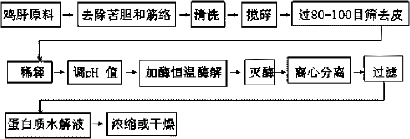 Process for preparing chicken liver hydrolyzed protein with proteases