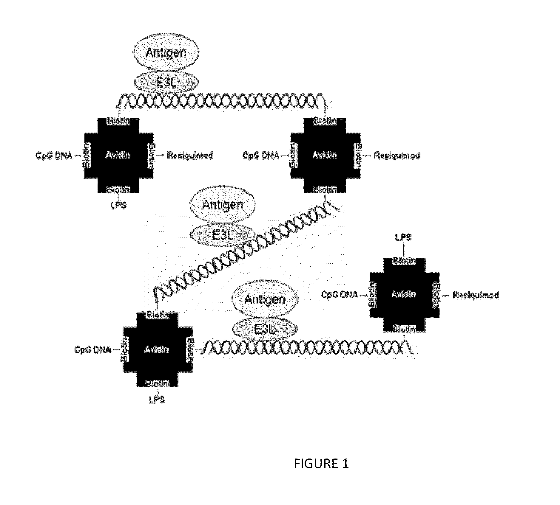 Compositions, Methods, and Kits for Eliciting an Immune Response