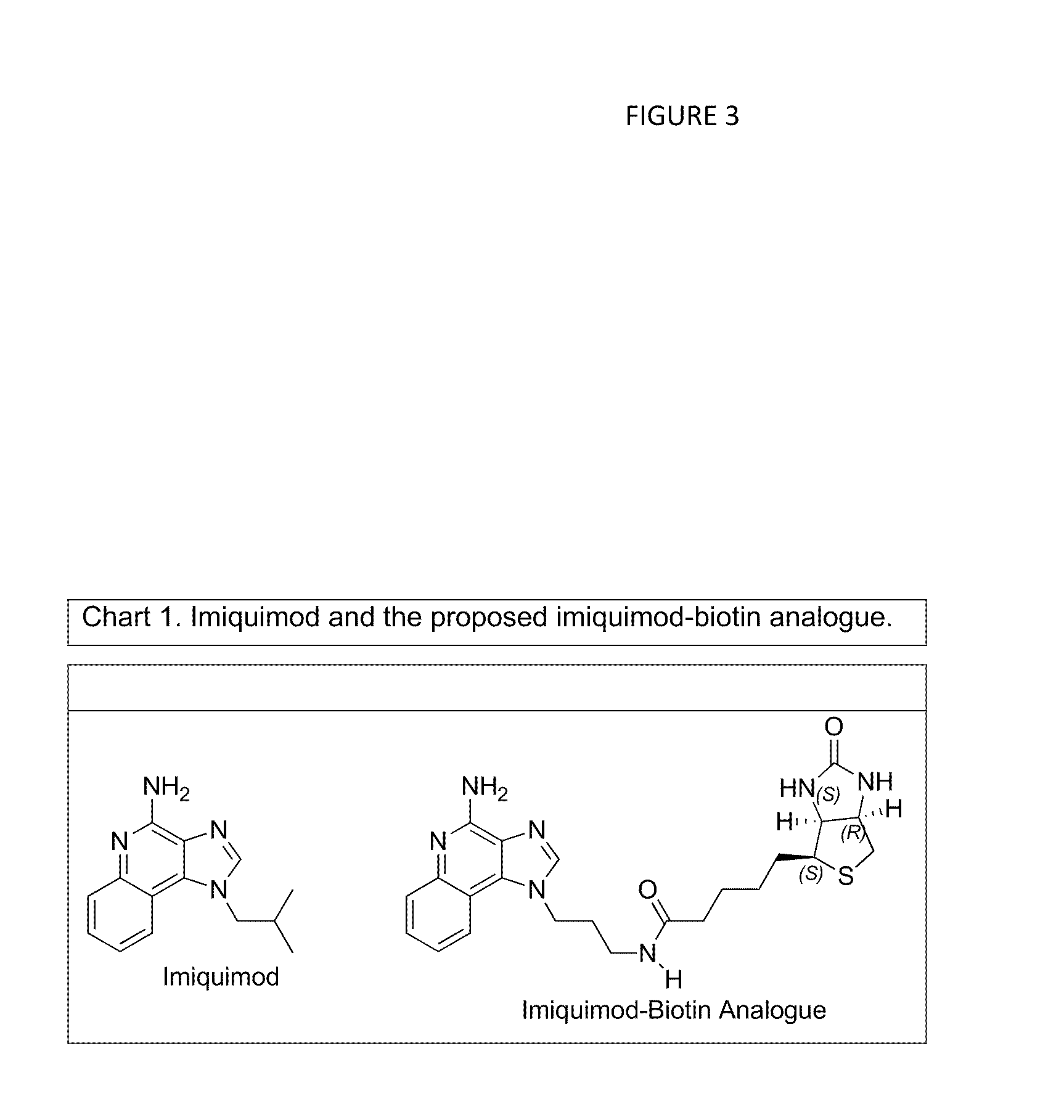 Compositions, Methods, and Kits for Eliciting an Immune Response