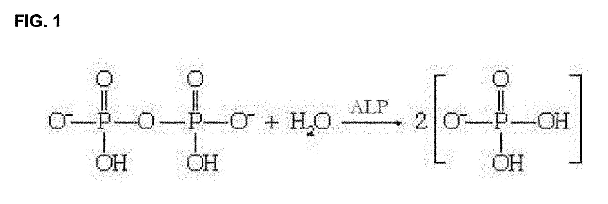 Iminosugars for improving bone mineral density in bone disease