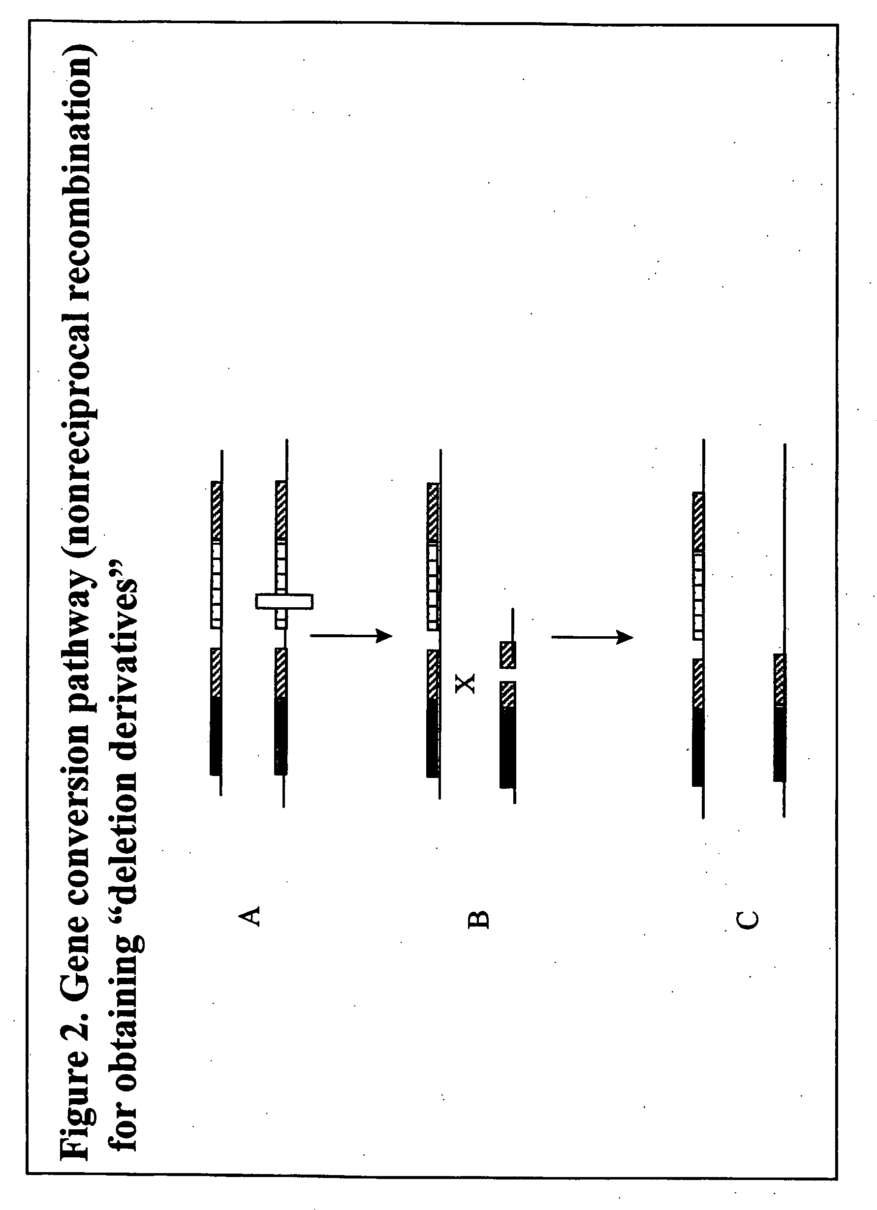 Homologous recombination mediated transgene deletion in plant cells