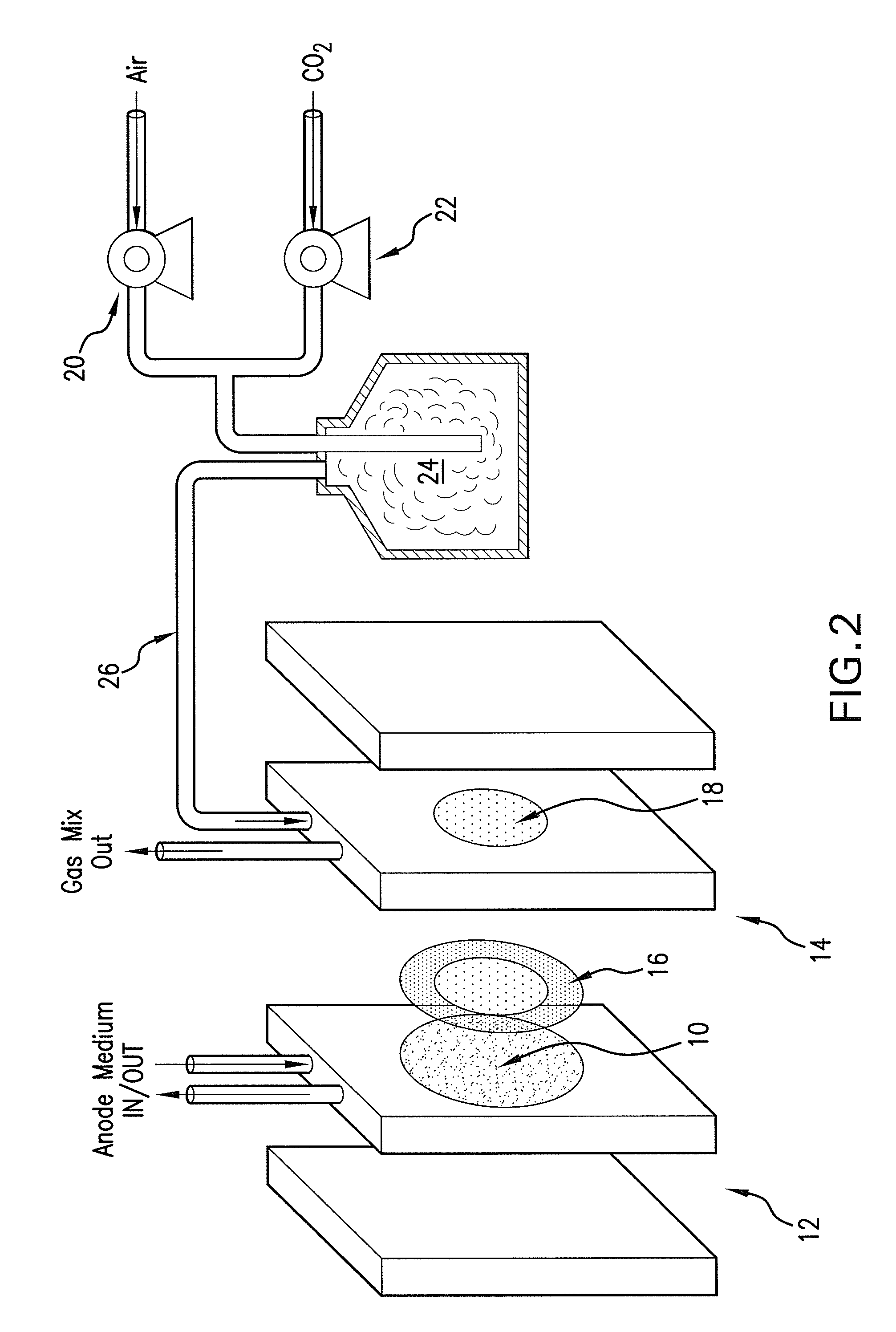 Bicarbonate and carbonate as hydroxide carriers in a biological fuel cell