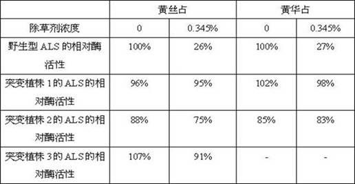 Rice herbicide resistant protein and application thereof in plant bleeding