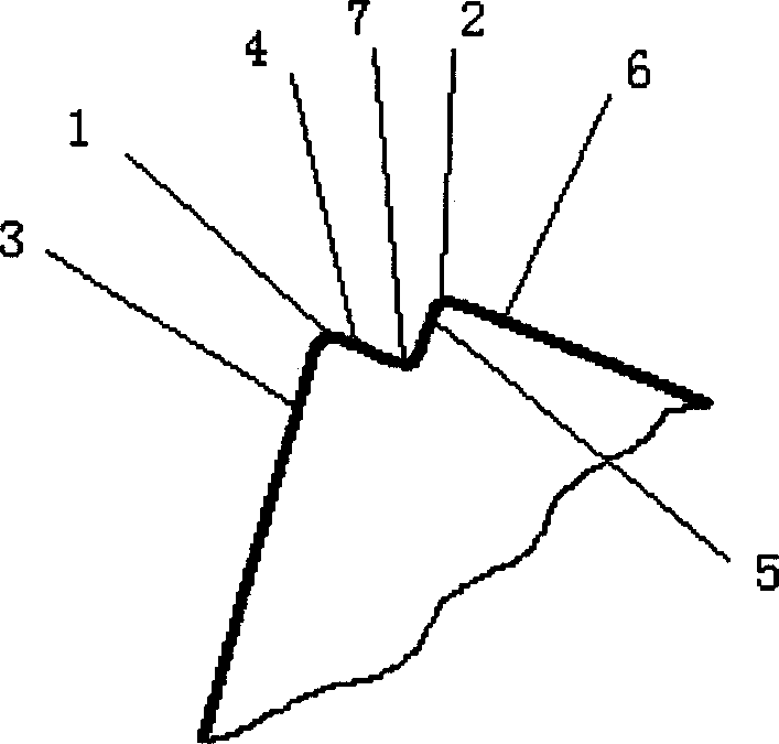 Double-head cutting tool in mechanical processing