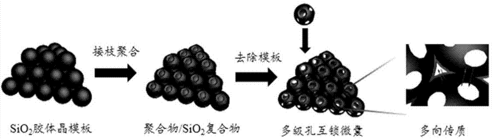 Preparation method of interlocking micro-capsules based on polymer with high specific surface area and having hierarchical porous structure