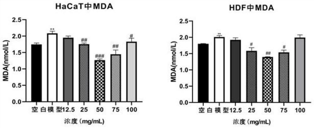 Cosmetic containing composition with anti-wrinkle effect and preparation method of cosmetic