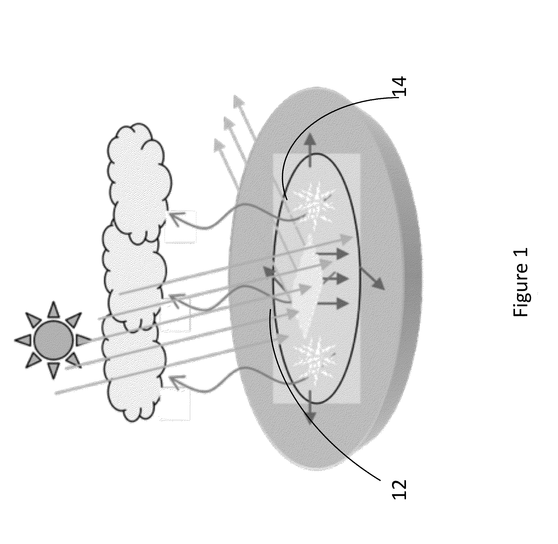 Systems for decreasing local temperature using high albedo materials