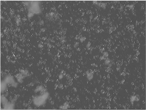 Catalyst carrier for olefin polymerization, preparation method and application thereof