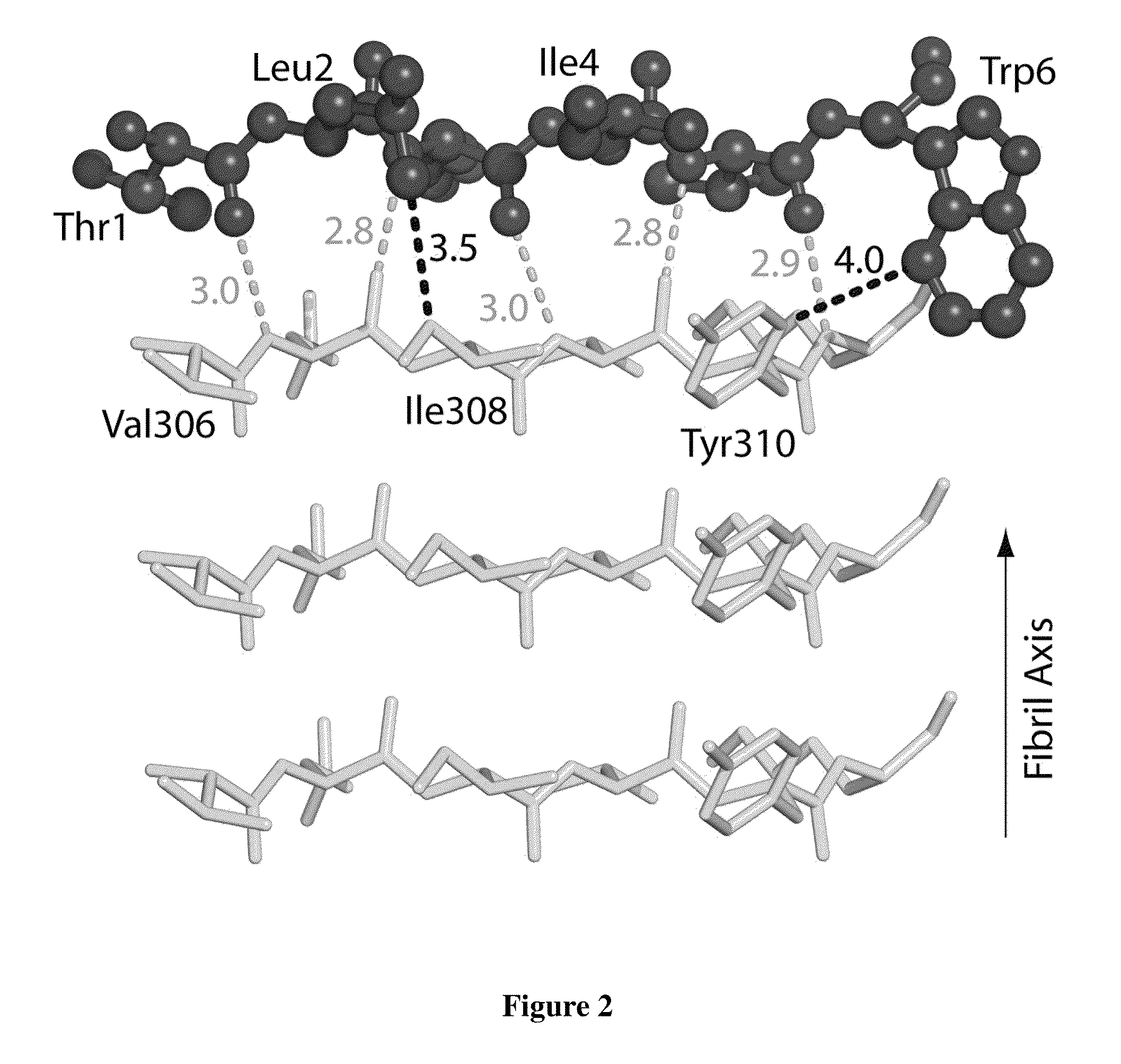 Structure-based design of peptide inhibitors of amyloid fibrillation