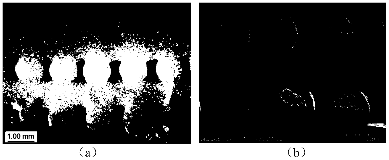 A kind of three-dimensional printing porous wollastonite bioceramic scaffold and its preparation method and application